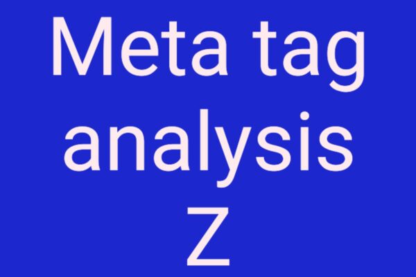 Meta Tag Analyzer Z